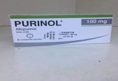 Purinol 100 100mg