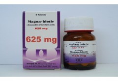 Magna-Biotic 312.5MG/5ML