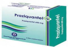 Praziquantel 600mg